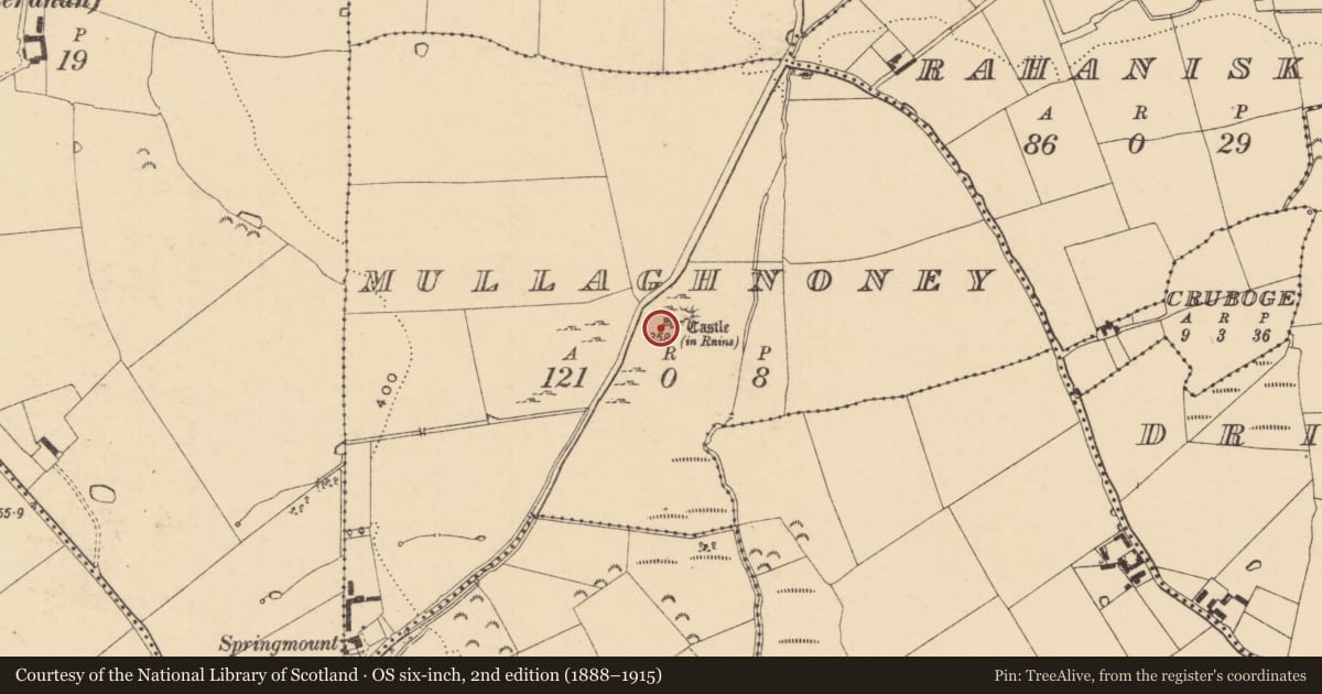 Ordnance Survey six-inch map, 2nd edition (1888–1915) covering the location of Bawn, Mullaghnoney, County Tipperary South, with a pin at the register's coordinates