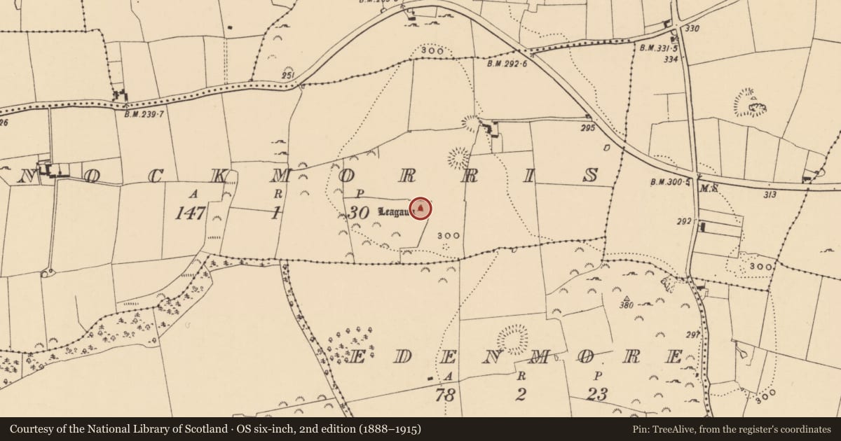 Ordnance Survey six-inch map, 2nd edition (1888–1915) covering the location of Standing stone, Knockmorris, County Tipperary South, with a pin at the register's coordinates