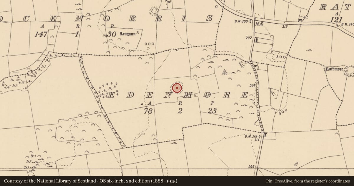 Ordnance Survey six-inch map, 2nd edition (1888–1915) covering the location of Enclosure, Edenmore, County Tipperary South, with a pin at the register's coordinates