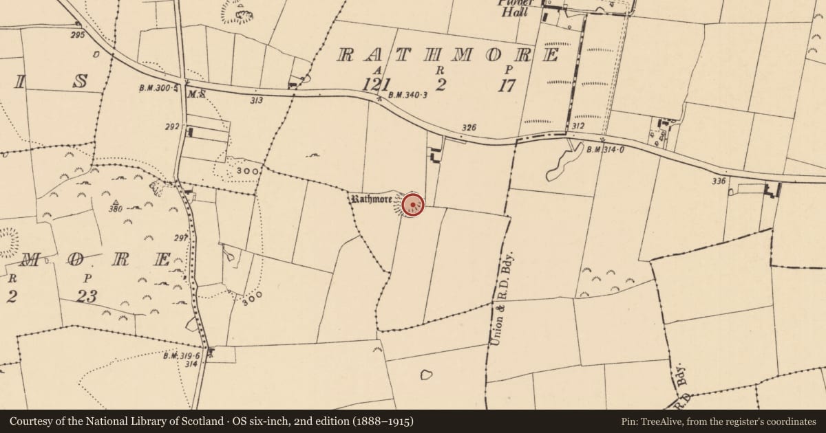 Ordnance Survey six-inch map, 2nd edition (1888–1915) covering the location of Ringfort - rath, Rathmore (Caher Par.), County Tipperary South, with a pin at the register's coordinates