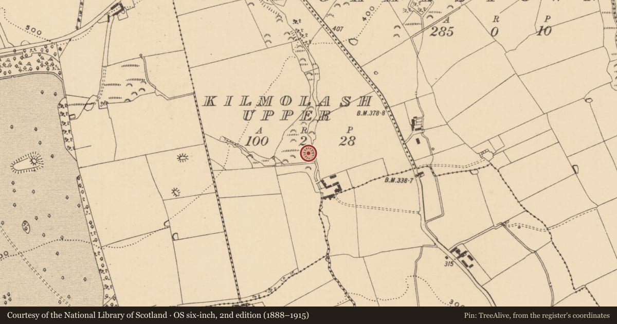 Ordnance Survey six-inch map, 2nd edition (1888–1915) covering the location of Enclosure, Kilmolash Upper, County Tipperary South, with a pin at the register's coordinates
