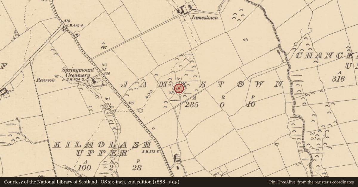 Ordnance Survey six-inch map, 2nd edition (1888–1915) covering the location of Moated site, Jamestown (Rathronan Par.), County Tipperary South, with a pin at the register's coordinates