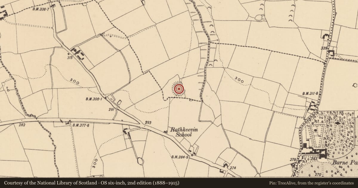 Ordnance Survey six-inch map, 2nd edition (1888–1915) covering the location of Ringfort - rath, Jamestown (Rathronan Par.), County Tipperary South, with a pin at the register's coordinates