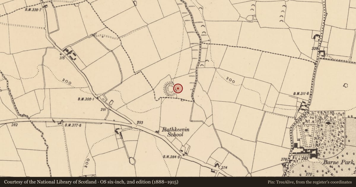 Ordnance Survey six-inch map, 2nd edition (1888–1915) covering the location of Bullaun stone, Jamestown (Rathronan Par.), County Tipperary South, with a pin at the register's coordinates