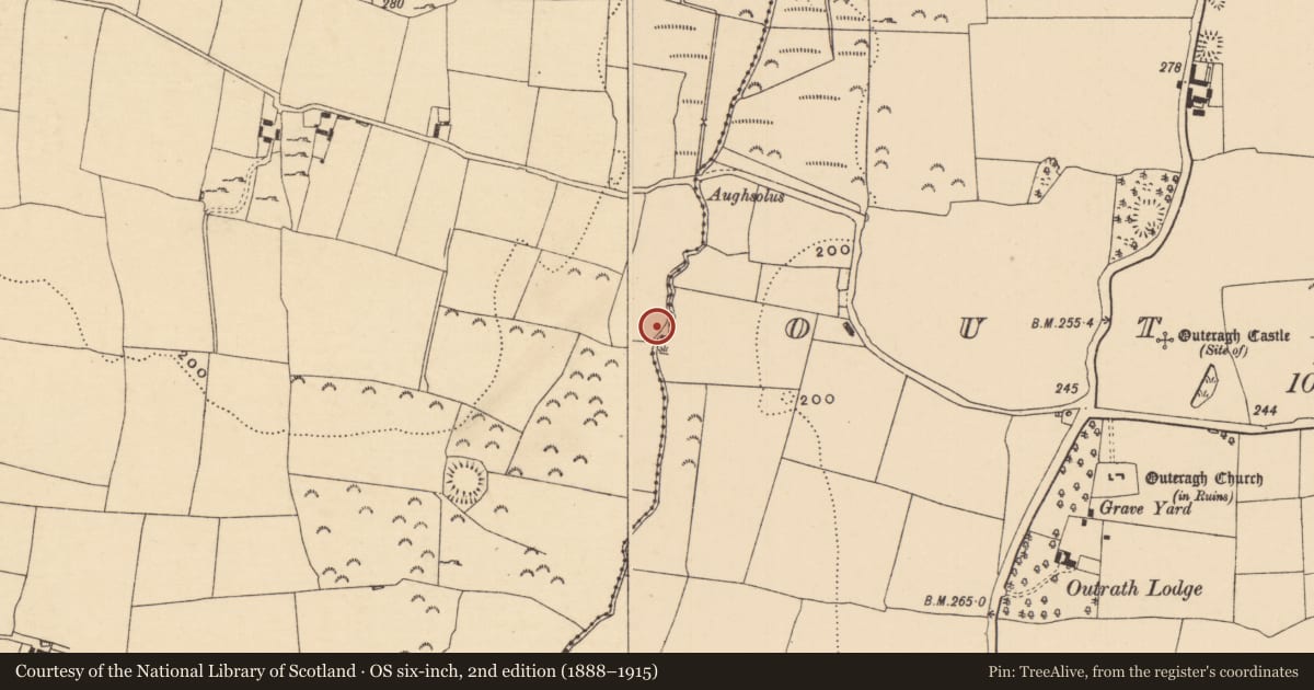 Ordnance Survey six-inch map, 2nd edition (1888–1915) covering the location of Enclosure, Knockgraffon, County Tipperary South, with a pin at the register's coordinates