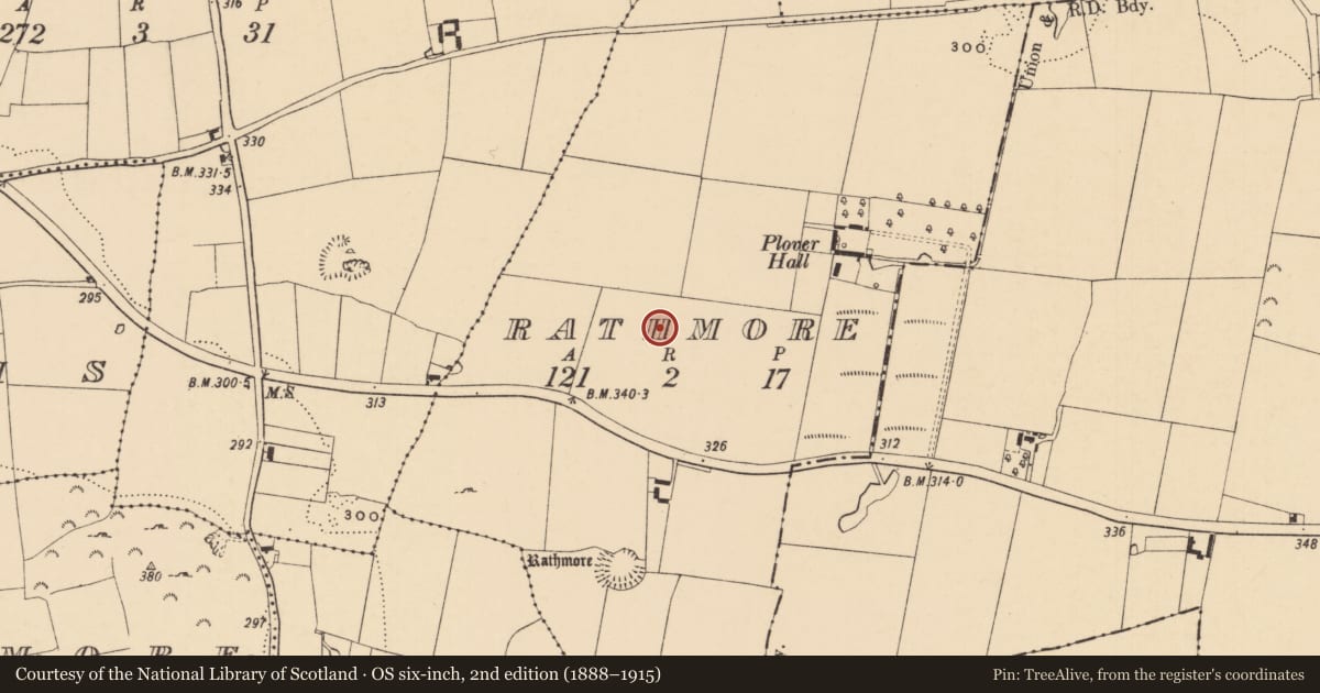 Ordnance Survey six-inch map, 2nd edition (1888–1915) covering the location of Enclosure, Rathmore (Caher Par.), County Tipperary South, with a pin at the register's coordinates
