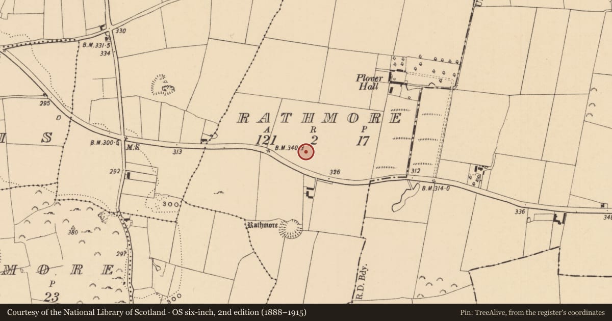 Ordnance Survey six-inch map, 2nd edition (1888–1915) covering the location of Enclosure, Rathmore (Caher Par.), County Tipperary South, with a pin at the register's coordinates