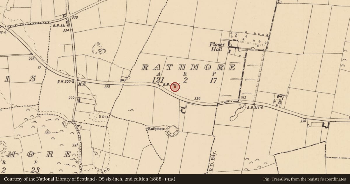 Ordnance Survey six-inch map, 2nd edition (1888–1915) covering the location of Enclosure, Rathmore (Caher Par.), County Tipperary South, with a pin at the register's coordinates