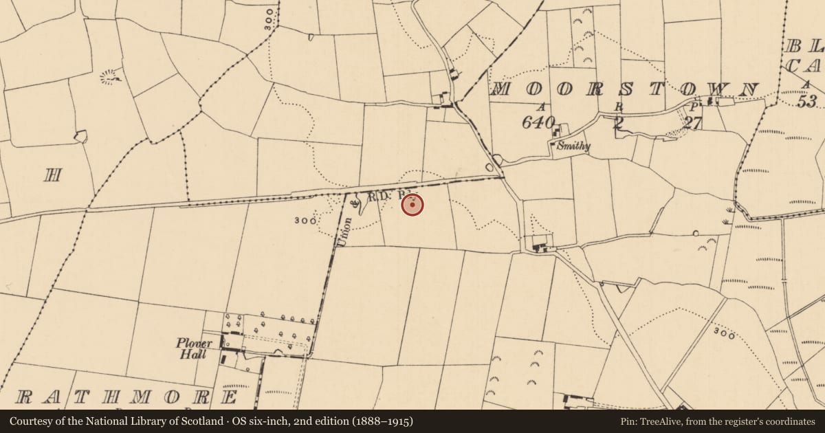 Ordnance Survey six-inch map, 2nd edition (1888–1915) covering the location of Enclosure, Moorstown (Inishlounaght Par.), County Tipperary South, with a pin at the register's coordinates