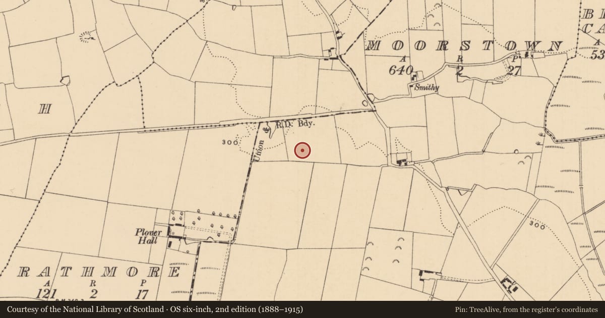 Ordnance Survey six-inch map, 2nd edition (1888–1915) covering the location of Ring-ditch, Moorstown (Inishlounaght Par.), County Tipperary South, with a pin at the register's coordinates