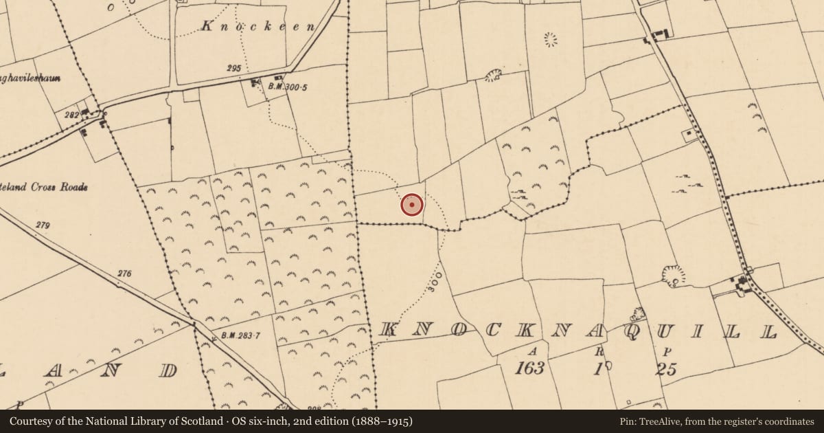 Ordnance Survey six-inch map, 2nd edition (1888–1915) covering the location of Enclosure, Glennagat, County Tipperary South, with a pin at the register's coordinates