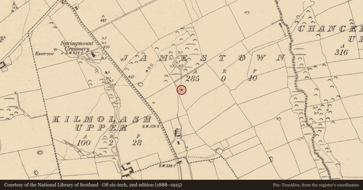 Ordnance Survey six-inch map, 2nd edition (1888–1915) covering the location of Field system, Jamestown (Rathronan Par.), County Tipperary South, with a pin at the register's coordinates