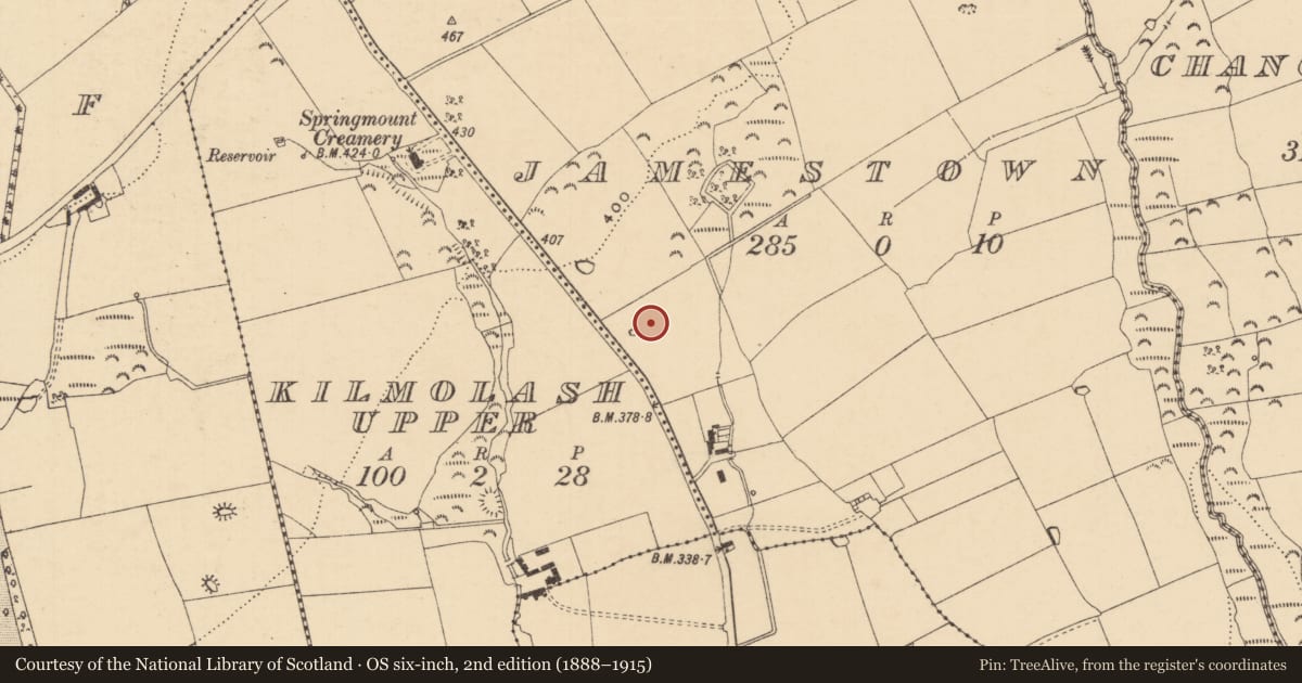 Ordnance Survey six-inch map, 2nd edition (1888–1915) covering the location of Field system, Jamestown (Rathronan Par.), County Tipperary South, with a pin at the register's coordinates