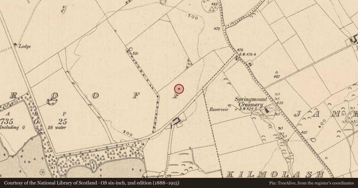 Ordnance Survey six-inch map, 2nd edition (1888–1915) covering the location of Enclosure, Woodrooff (Inishlounaght Par.), County Tipperary South, with a pin at the register's coordinates