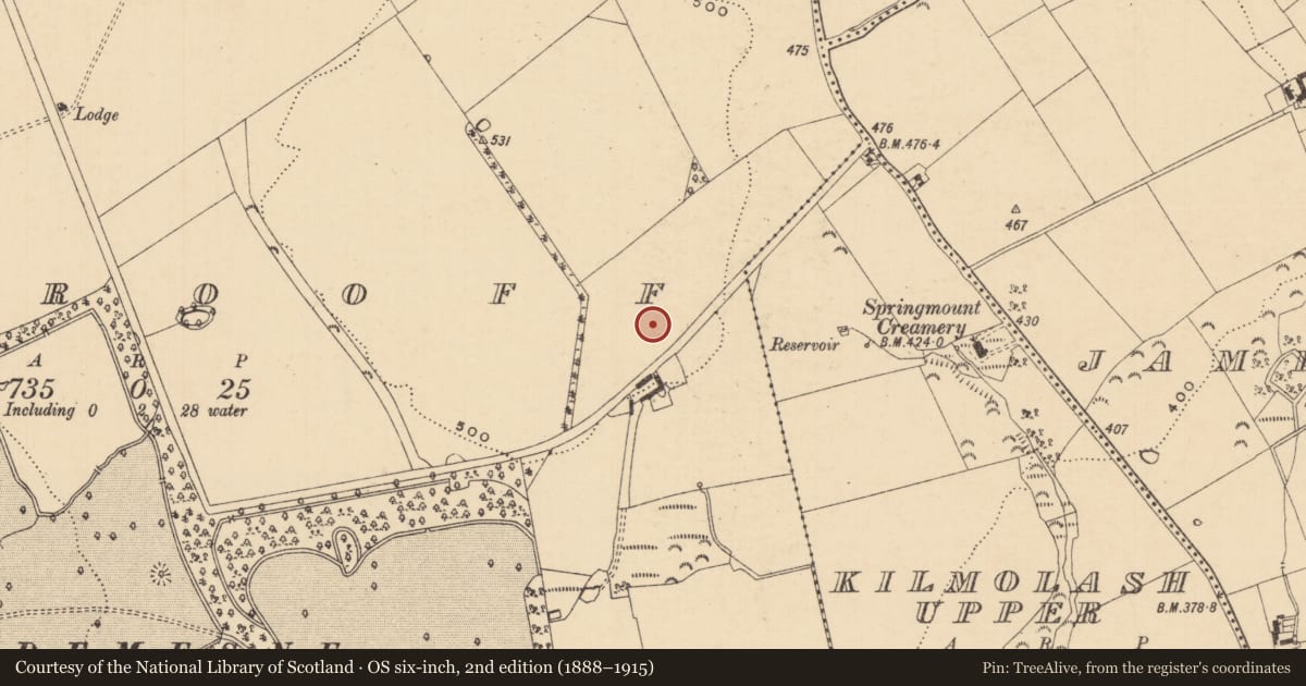 Ordnance Survey six-inch map, 2nd edition (1888–1915) covering the location of Ring-ditch, Woodrooff (Inishlounaght Par.), County Tipperary South, with a pin at the register's coordinates