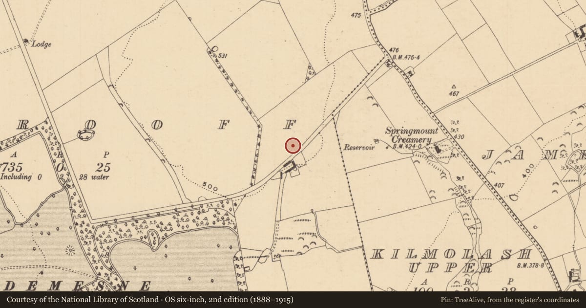 Ordnance Survey six-inch map, 2nd edition (1888–1915) covering the location of Ring-ditch, Woodrooff (Inishlounaght Par.), County Tipperary South, with a pin at the register's coordinates