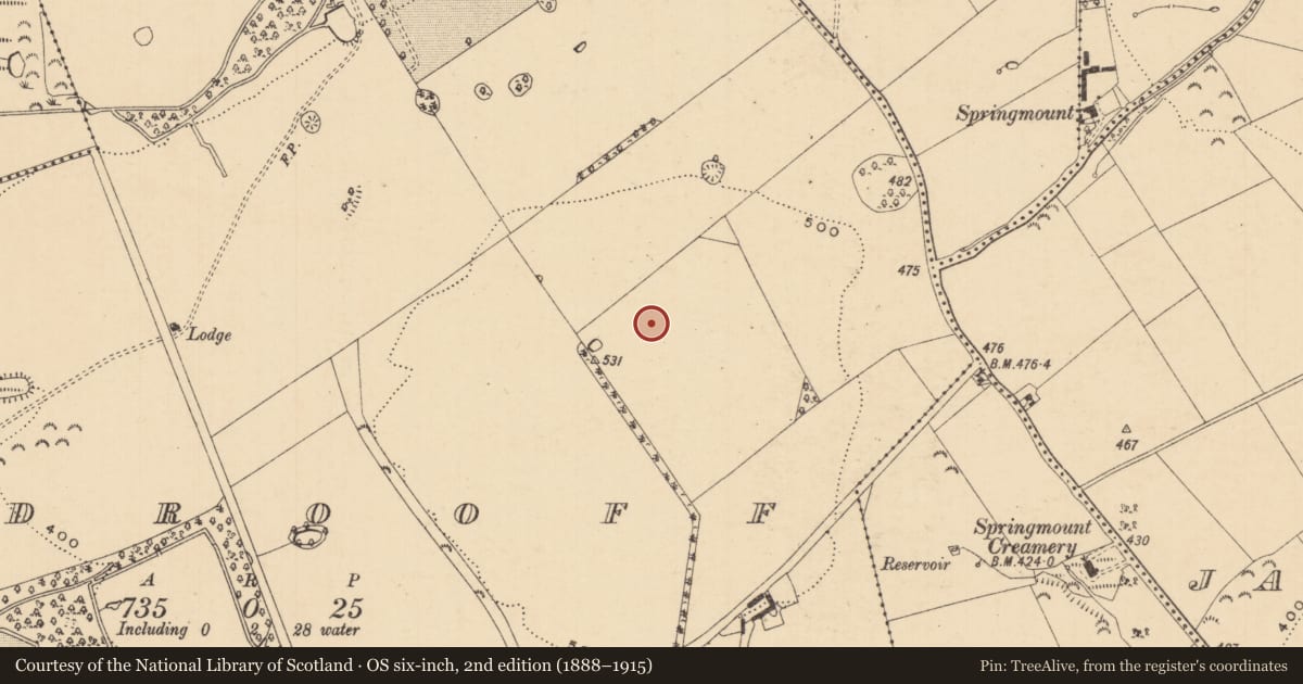 Ordnance Survey six-inch map, 2nd edition (1888–1915) covering the location of Ring-ditch, Woodrooff (Inishlounaght Par.), County Tipperary South, with a pin at the register's coordinates