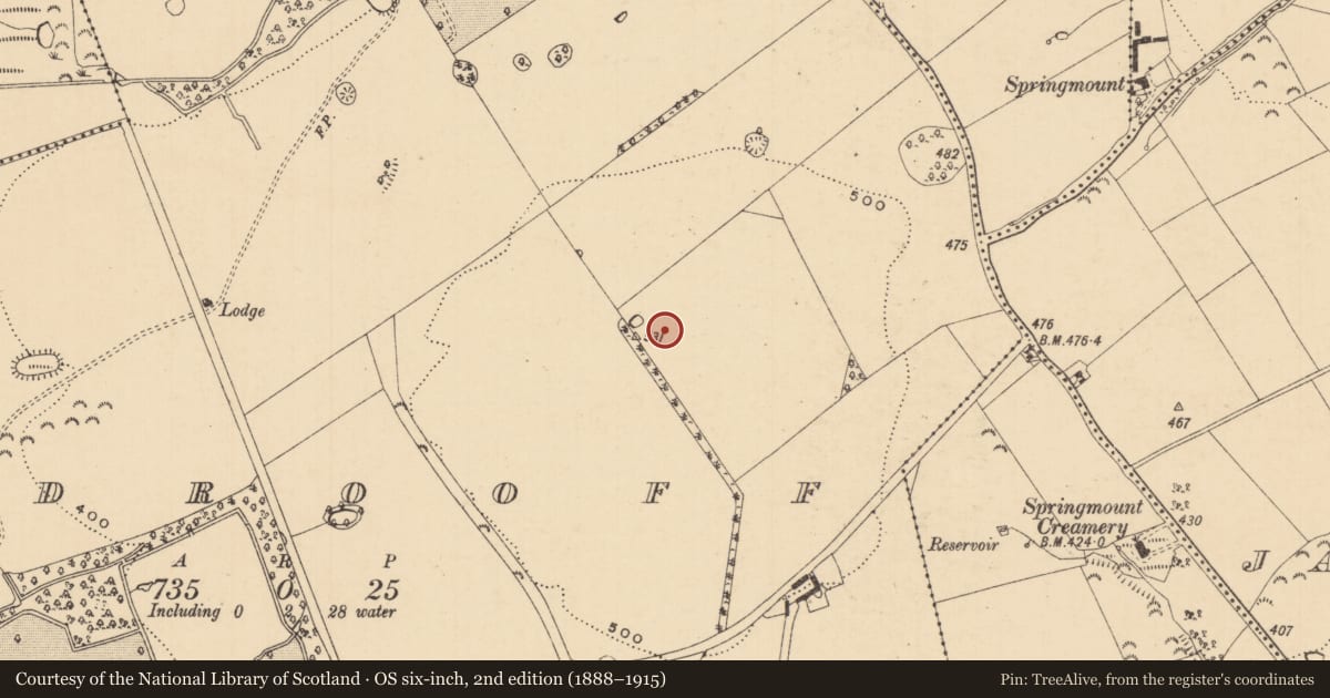 Ordnance Survey six-inch map, 2nd edition (1888–1915) covering the location of Field boundary, Woodrooff (Inishlounaght Par.), County Tipperary South, with a pin at the register's coordinates