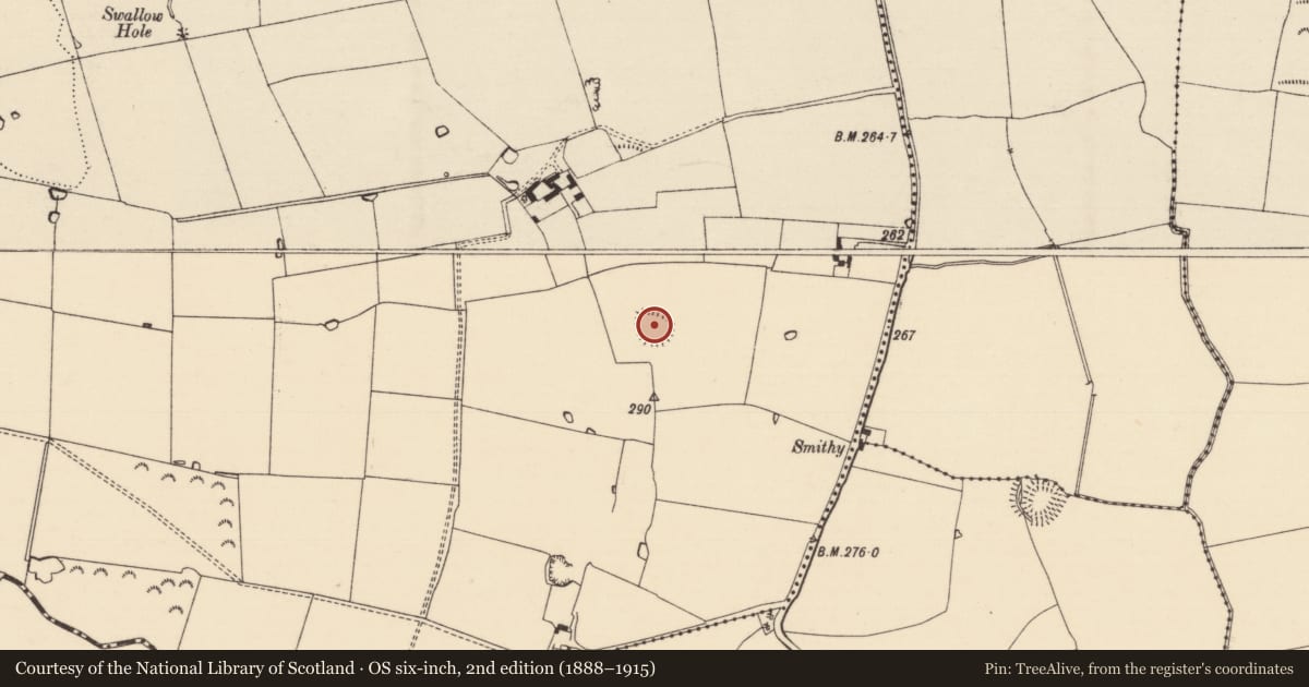 Ordnance Survey six-inch map, 2nd edition (1888–1915) covering the location of Moated site, Colman (Cramptmore), County Tipperary South, with a pin at the register's coordinates