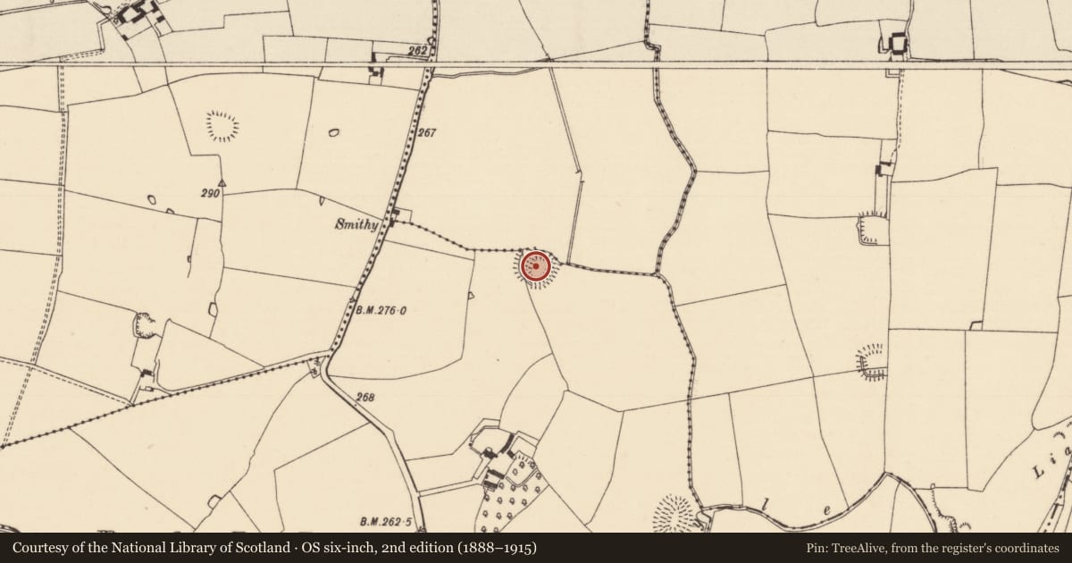 Ordnance Survey six-inch map, 2nd edition (1888–1915) covering the location of Ringfort - rath, Ballincor (Colman Par.), Ballinlough (Colman Par.), County Tipperary South, with a pin at the register's coordinates