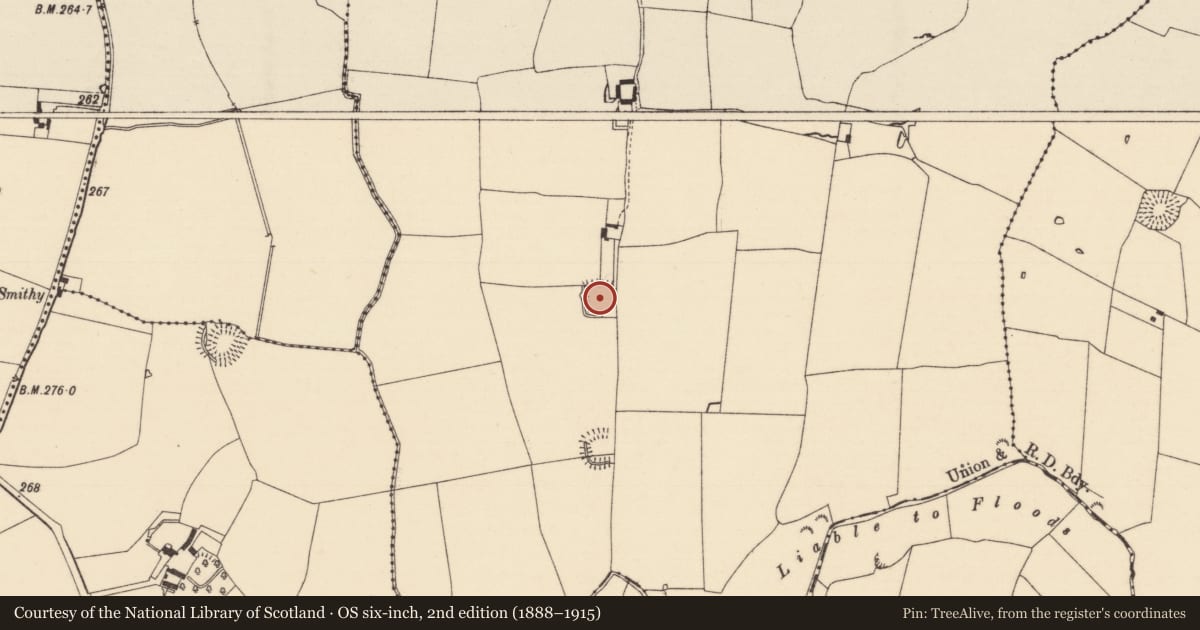 Ordnance Survey six-inch map, 2nd edition (1888–1915) covering the location of Moated site, Jossestown, County Tipperary South, with a pin at the register's coordinates
