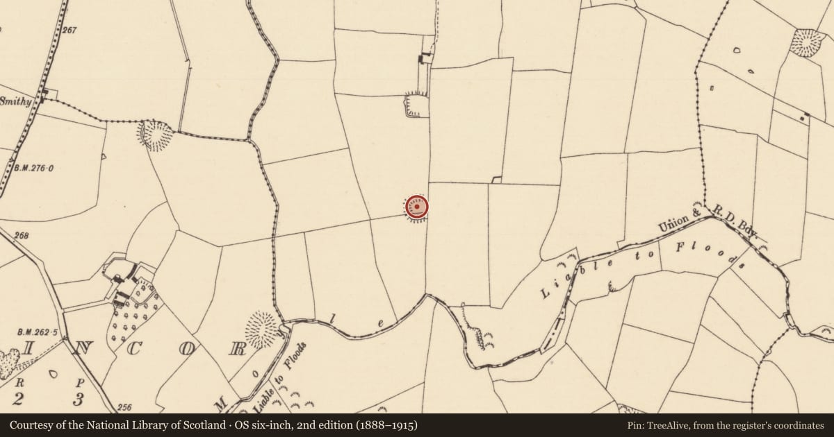 Ordnance Survey six-inch map, 2nd edition (1888–1915) covering the location of Ringfort - rath, Jossestown, County Tipperary South, with a pin at the register's coordinates