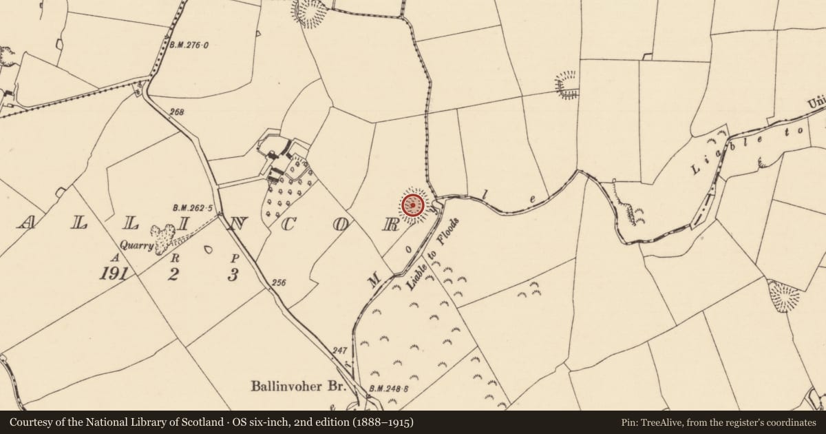 Ordnance Survey six-inch map, 2nd edition (1888–1915) covering the location of Ringfort - rath, Ballincor (Colman Par.), County Tipperary South, with a pin at the register's coordinates