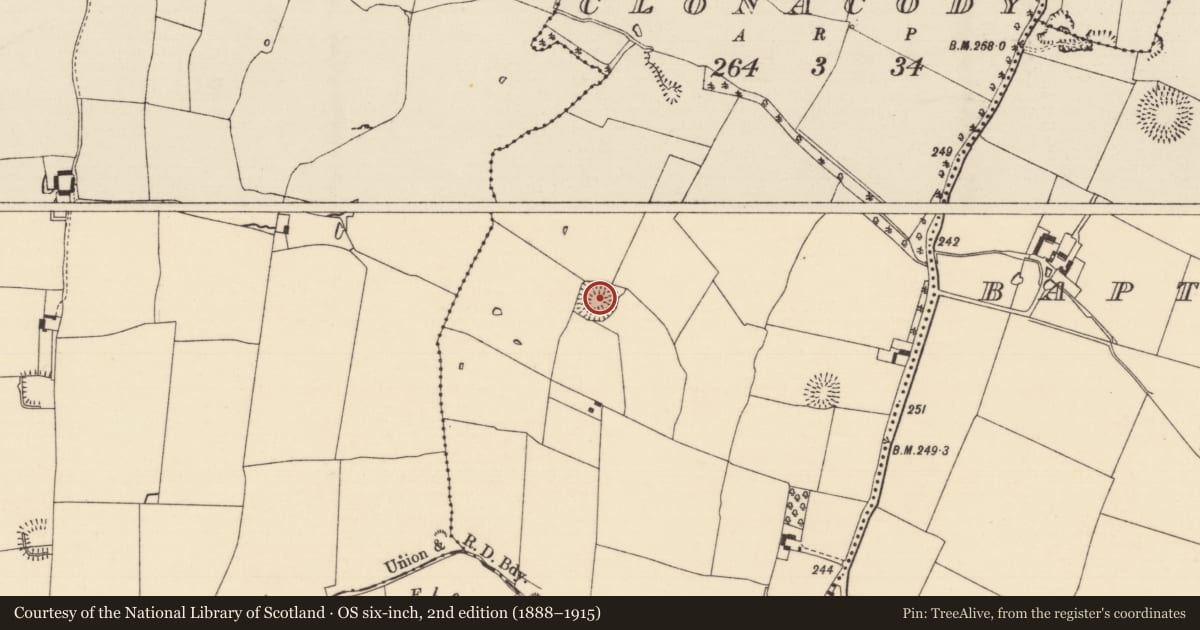Ordnance Survey six-inch map, 2nd edition (1888–1915) covering the location of Ringfort - rath, Clonacody, County Tipperary South, with a pin at the register's coordinates