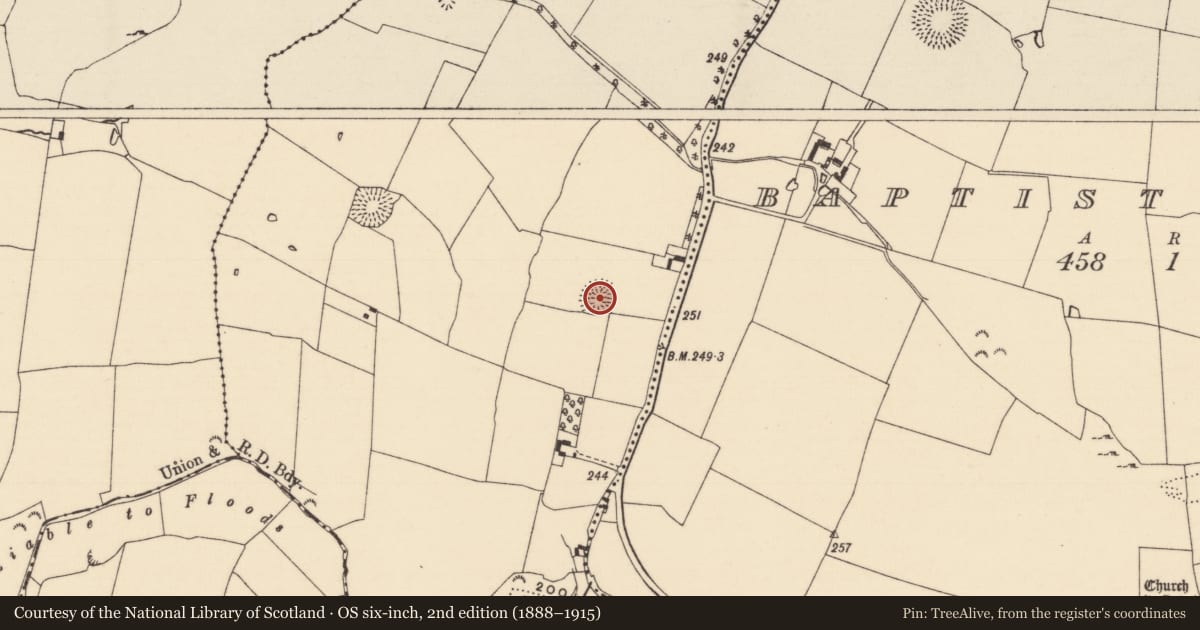 Ordnance Survey six-inch map, 2nd edition (1888–1915) covering the location of Ringfort - rath, Clonacody, County Tipperary South, with a pin at the register's coordinates