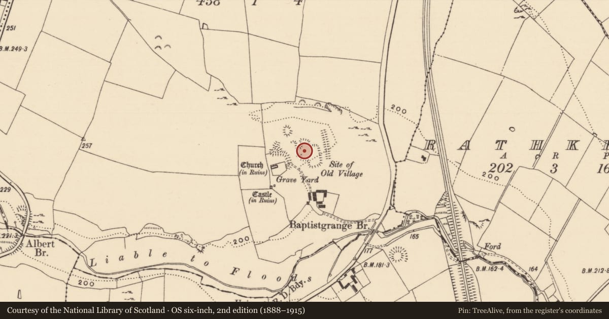 Ordnance Survey six-inch map, 2nd edition (1888–1915) covering the location of Settlement deserted - medieval, Baptistgrange, County Tipperary South, with a pin at the register's coordinates