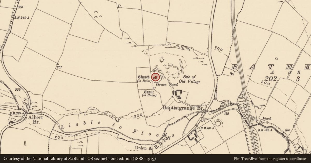 Ordnance Survey six-inch map, 2nd edition (1888–1915) covering the location of Church, Baptistgrange, County Tipperary South, with a pin at the register's coordinates