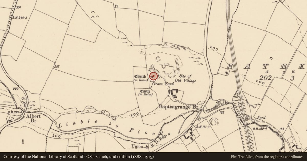 Ordnance Survey six-inch map, 2nd edition (1888–1915) covering the location of Graveslab, Baptistgrange, County Tipperary South, with a pin at the register's coordinates
