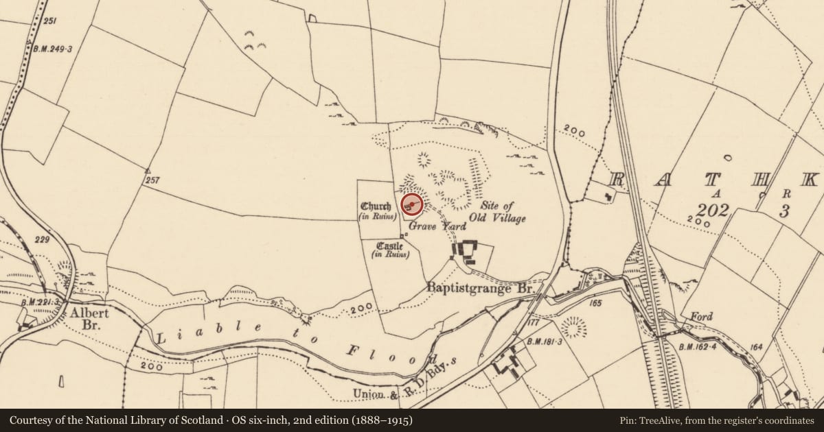 Ordnance Survey six-inch map, 2nd edition (1888–1915) covering the location of Graveslab, Baptistgrange, County Tipperary South, with a pin at the register's coordinates