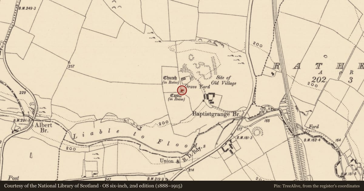Ordnance Survey six-inch map, 2nd edition (1888–1915) covering the location of Castle - unclassified, Baptistgrange, County Tipperary South, with a pin at the register's coordinates
