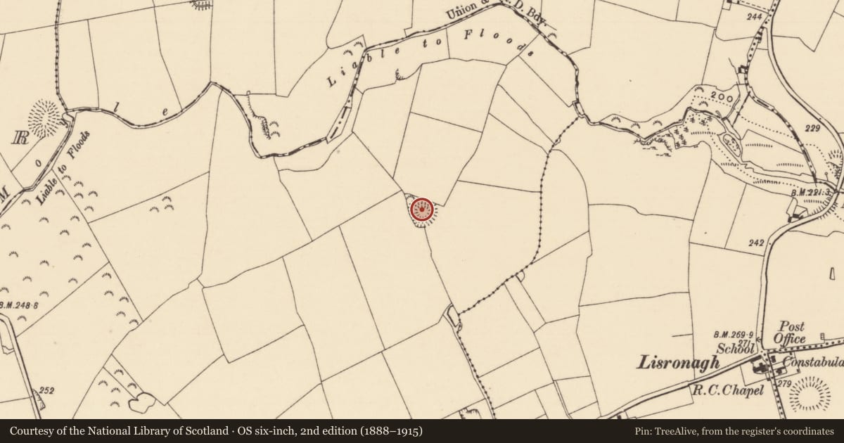 Ordnance Survey six-inch map, 2nd edition (1888–1915) covering the location of Ringfort - rath, Donaghmore, County Tipperary South, with a pin at the register's coordinates