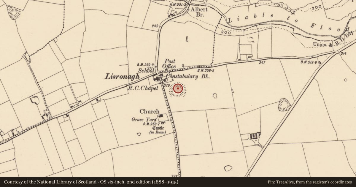 Ordnance Survey six-inch map, 2nd edition (1888–1915) covering the location of Castle - ringwork, Shanbally (Lisronagh Par.), County Tipperary South, with a pin at the register's coordinates