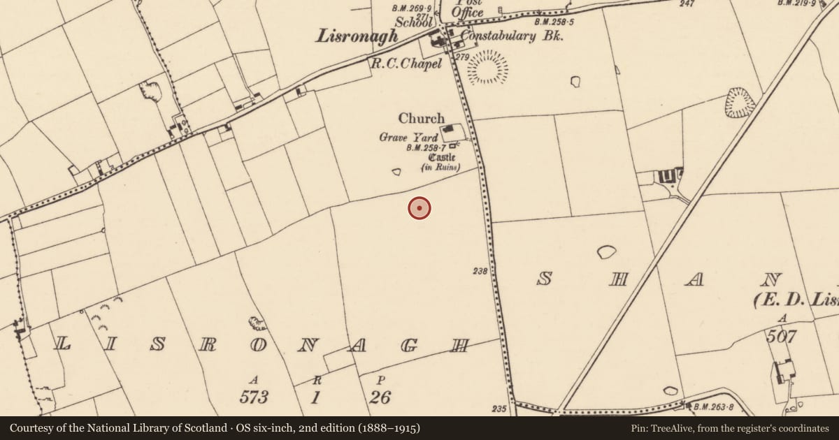 Ordnance Survey six-inch map, 2nd edition (1888–1915) covering the location of Road - road/trackway, Lisronagh, County Tipperary South, with a pin at the register's coordinates