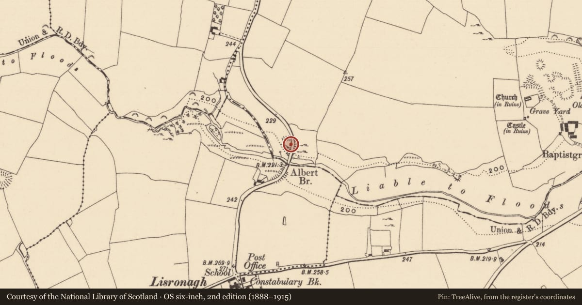 Ordnance Survey six-inch map, 2nd edition (1888–1915) covering the location of Castle - motte, Baptistgrange, County Tipperary South, with a pin at the register's coordinates