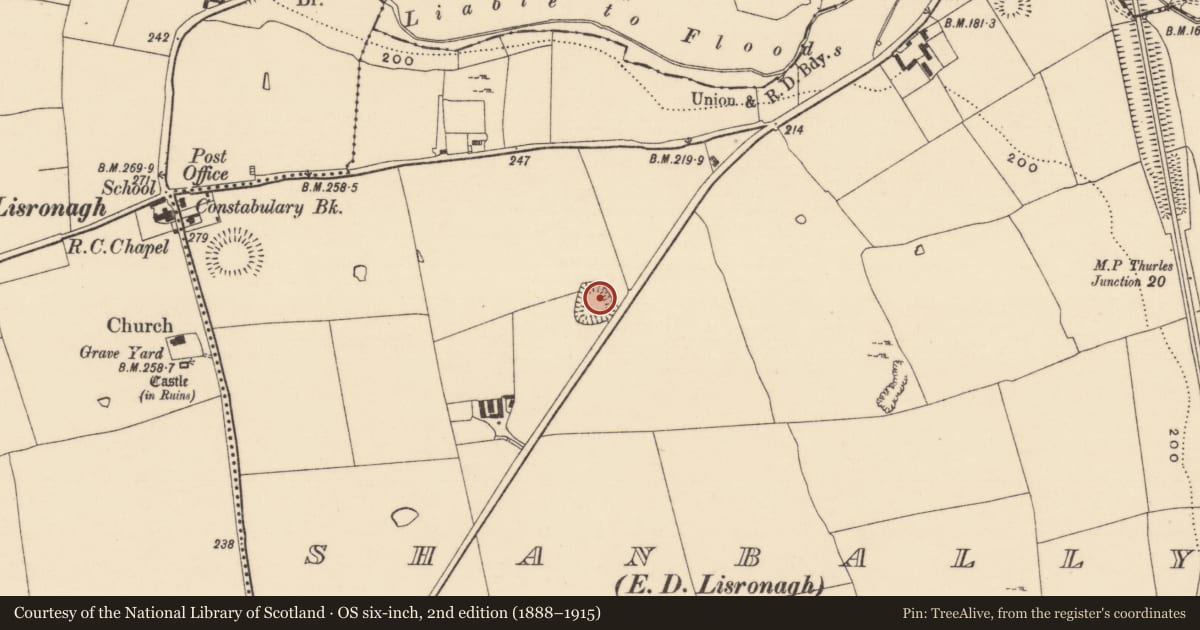 Ordnance Survey six-inch map, 2nd edition (1888–1915) covering the location of Castle - ringwork, Shanbally (Lisronagh Par.), County Tipperary South, with a pin at the register's coordinates