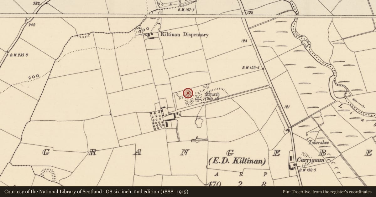 Ordnance Survey six-inch map, 2nd edition (1888–1915) covering the location of Enclosure, Grangebeg, County Tipperary South, with a pin at the register's coordinates