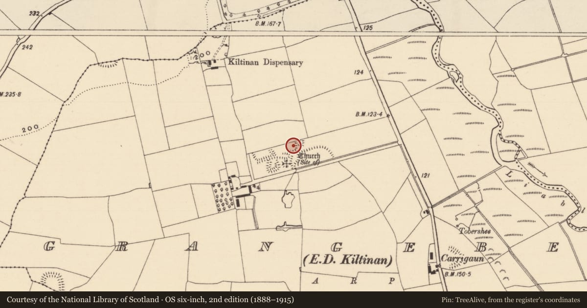 Ordnance Survey six-inch map, 2nd edition (1888–1915) covering the location of Platform, Grangebeg, County Tipperary South, with a pin at the register's coordinates