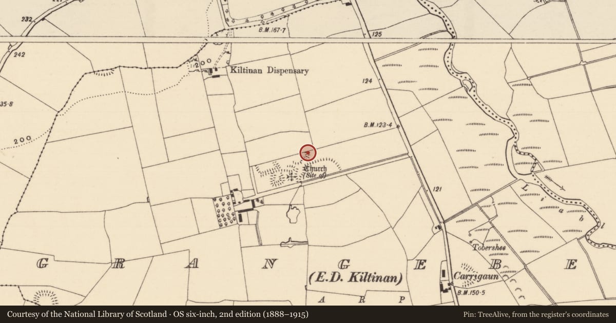 Ordnance Survey six-inch map, 2nd edition (1888–1915) covering the location of Enclosure, Grangebeg, County Tipperary South, with a pin at the register's coordinates