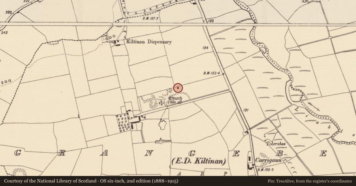 Ordnance Survey six-inch map, 2nd edition (1888–1915) covering the location of Enclosure, Grangebeg, County Tipperary South, with a pin at the register's coordinates