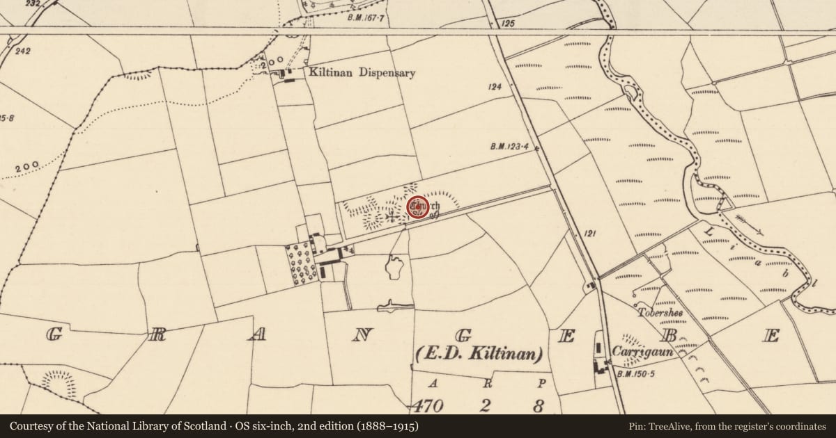 Ordnance Survey six-inch map, 2nd edition (1888–1915) covering the location of Enclosure, Grangebeg, County Tipperary South, with a pin at the register's coordinates