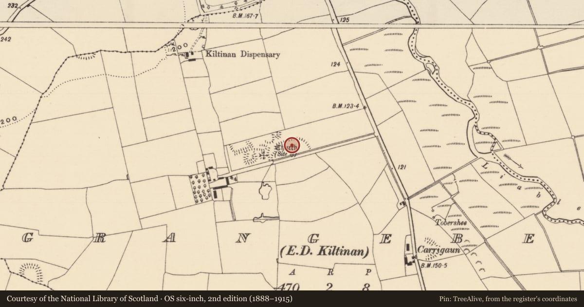 Ordnance Survey six-inch map, 2nd edition (1888–1915) covering the location of Enclosure, Grangebeg, County Tipperary South, with a pin at the register's coordinates
