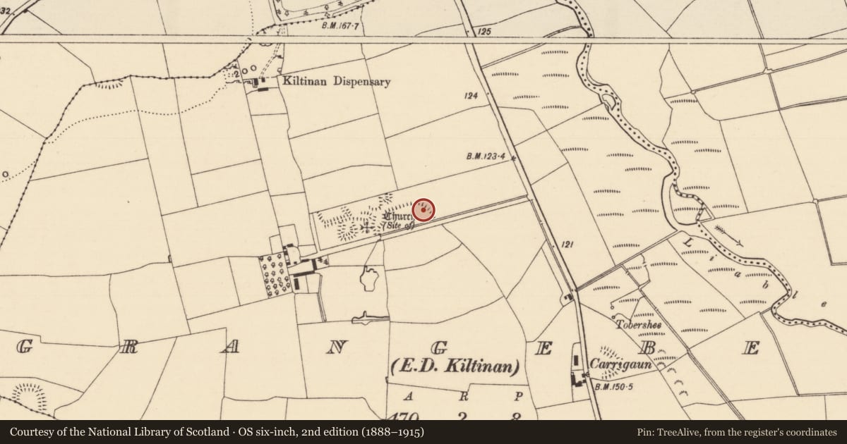 Ordnance Survey six-inch map, 2nd edition (1888–1915) covering the location of Enclosure, Grangebeg, County Tipperary South, with a pin at the register's coordinates