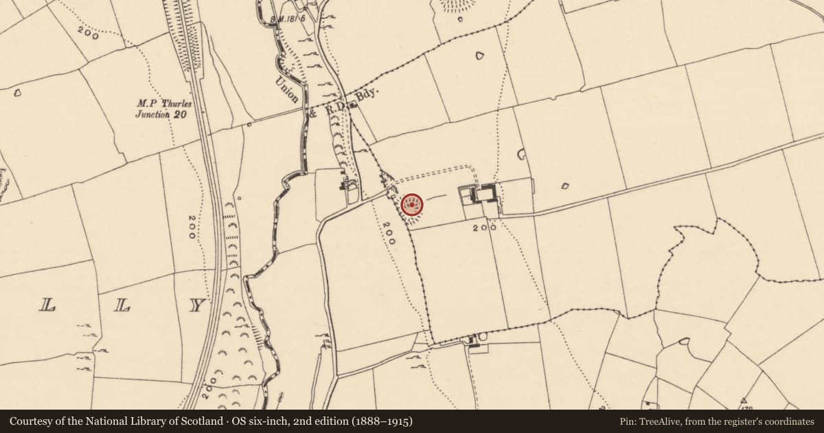 Ordnance Survey six-inch map, 2nd edition (1888–1915) covering the location of Enclosure, Carrigeensharragh, Milltown Britton, County Tipperary South, with a pin at the register's coordinates