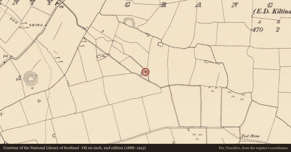 Ordnance Survey six-inch map, 2nd edition (1888–1915) covering the location of Ringfort - rath, Milltown Britton, County Tipperary South, with a pin at the register's coordinates