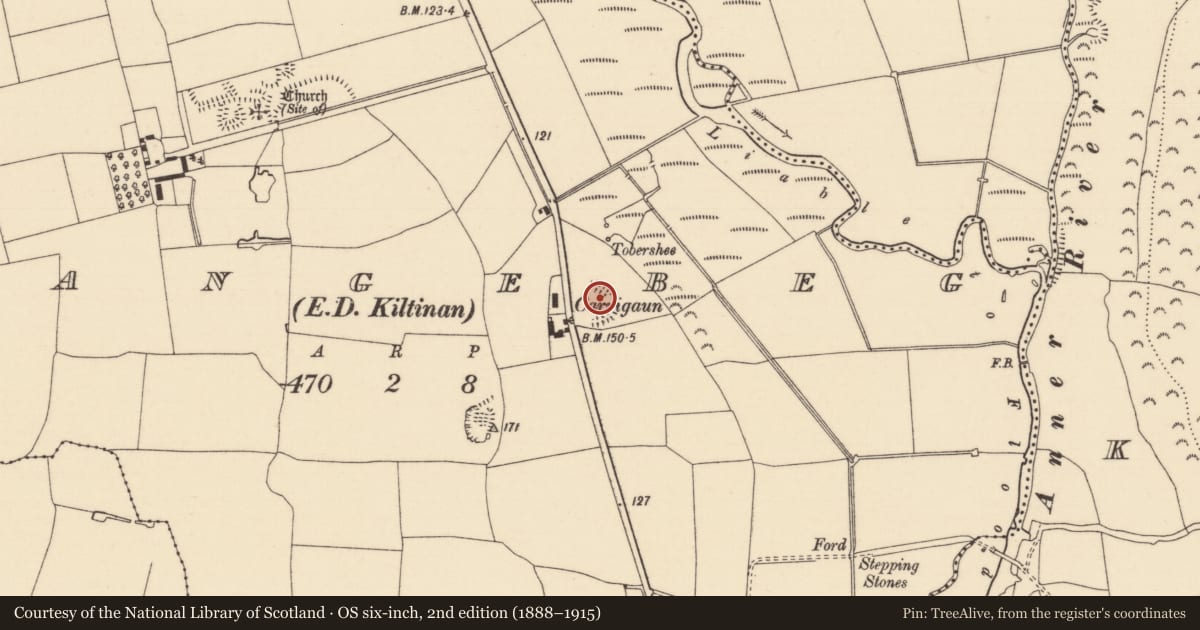 Ordnance Survey six-inch map, 2nd edition (1888–1915) covering the location of Enclosure, Grangebeg, County Tipperary South, with a pin at the register's coordinates