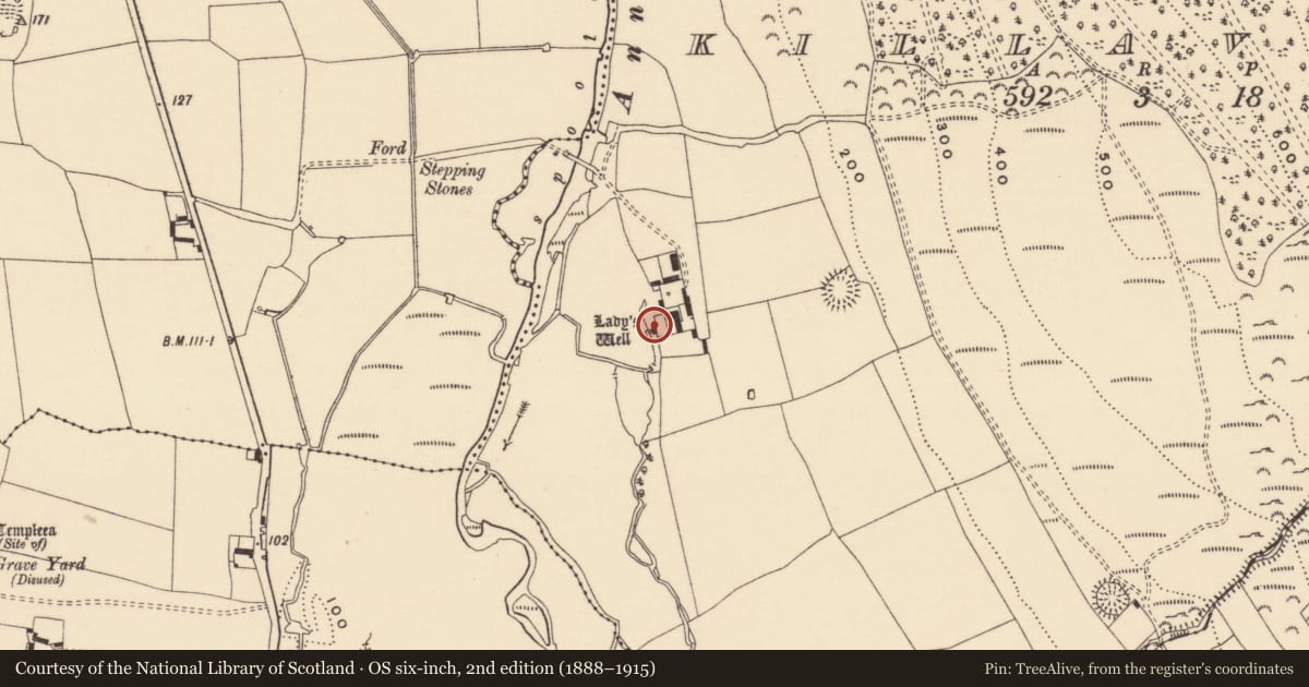 Ordnance Survey six-inch map, 2nd edition (1888–1915) covering the location of Ritual site - holy well, Killavally, County Tipperary South, with a pin at the register's coordinates
